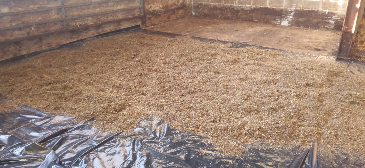 LloydNj's tweet photo. Wildflower seed harvesting on the farm to enhance other areas https://t.co/G0z6Yjo7td