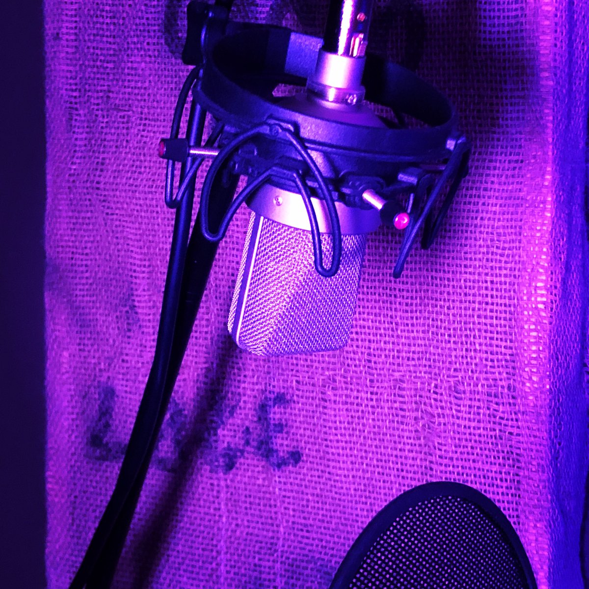 DavidAutovino's tweet image. Love it when a #commercialvoiceover client is surprisingly down to clown in the booth. Had a great session this morning and was able to squeeze in a lot of laughs! #vo #remotevoiceover