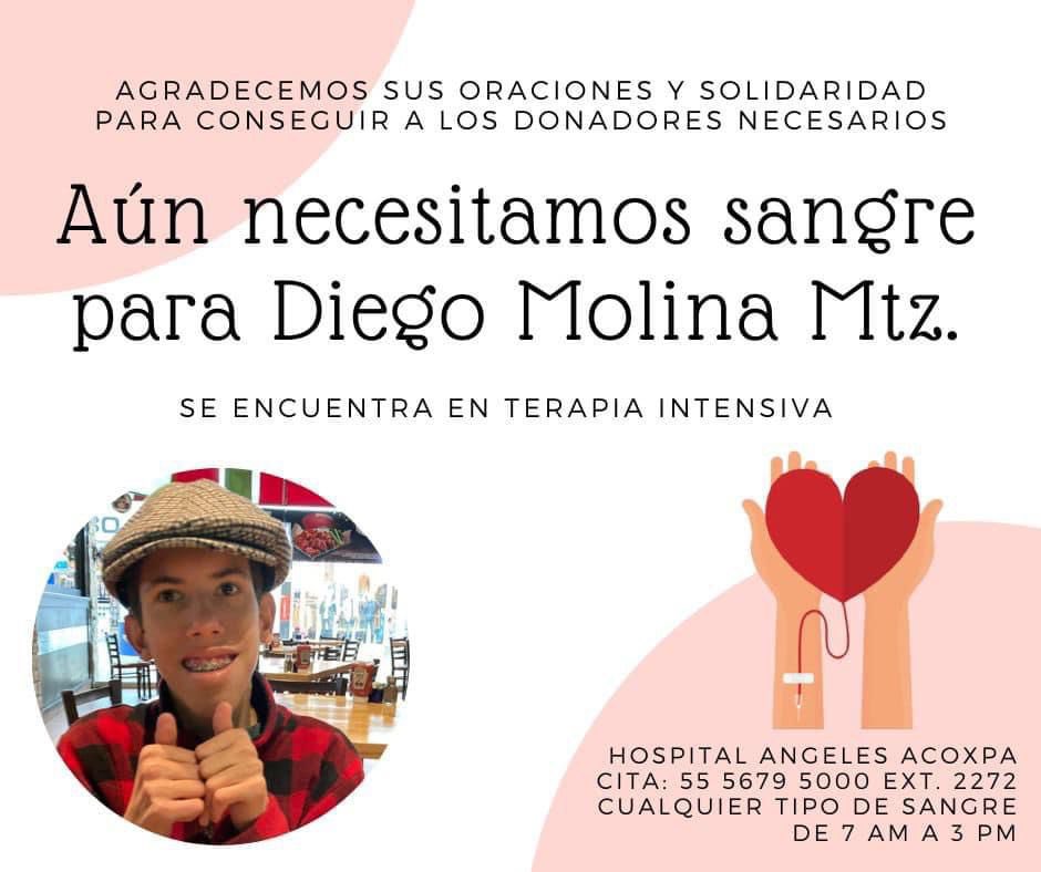 María Letona tweet media