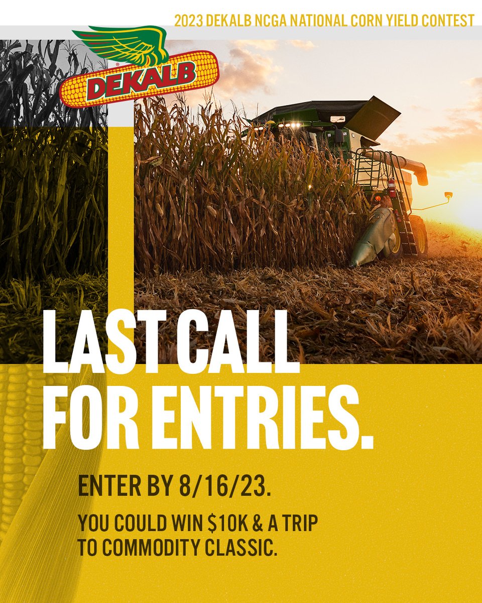 Asgrow_DEKALB's tweet photo. It’s go-time. Your final chance to enter the 2023 #NCGA Yield Contest is 8/16. Could you be our next big winner? 🏆

https://t.co/vIgXCo8c5k

#DEKALB #CornThatPerforms @NationalCorn https://t.co/f9ArSkya30