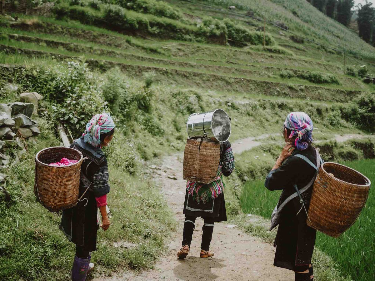 globdisciplesca's tweet photo. Global Disciples empowers local churches with discipleship training to help mobilize their people. By giving financially, you can join in on what God is doing around the world. Give today at https://t.co/mLuZ5jdFE9 https://t.co/cZIbQUzRTb