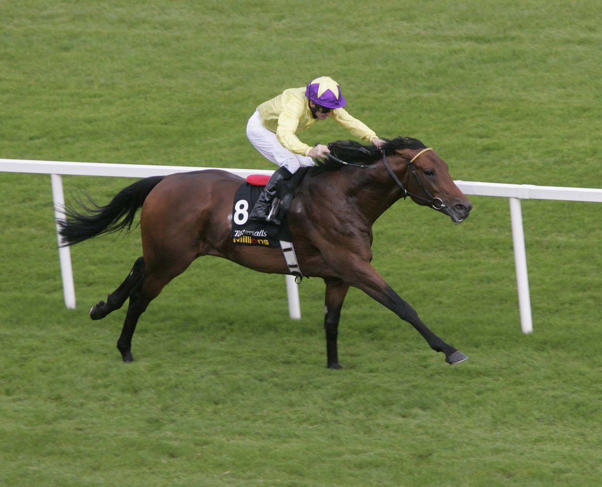 Horse Racing Ireland tweet media