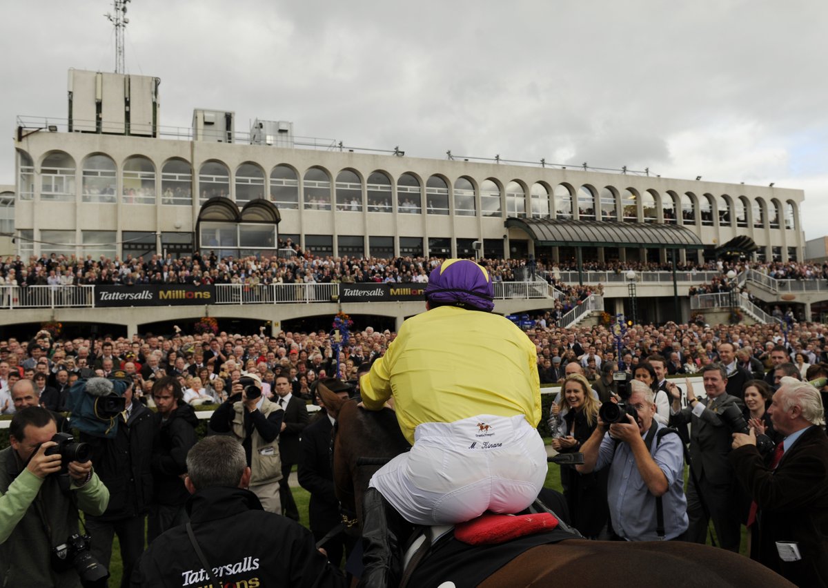 Horse Racing Ireland tweet media