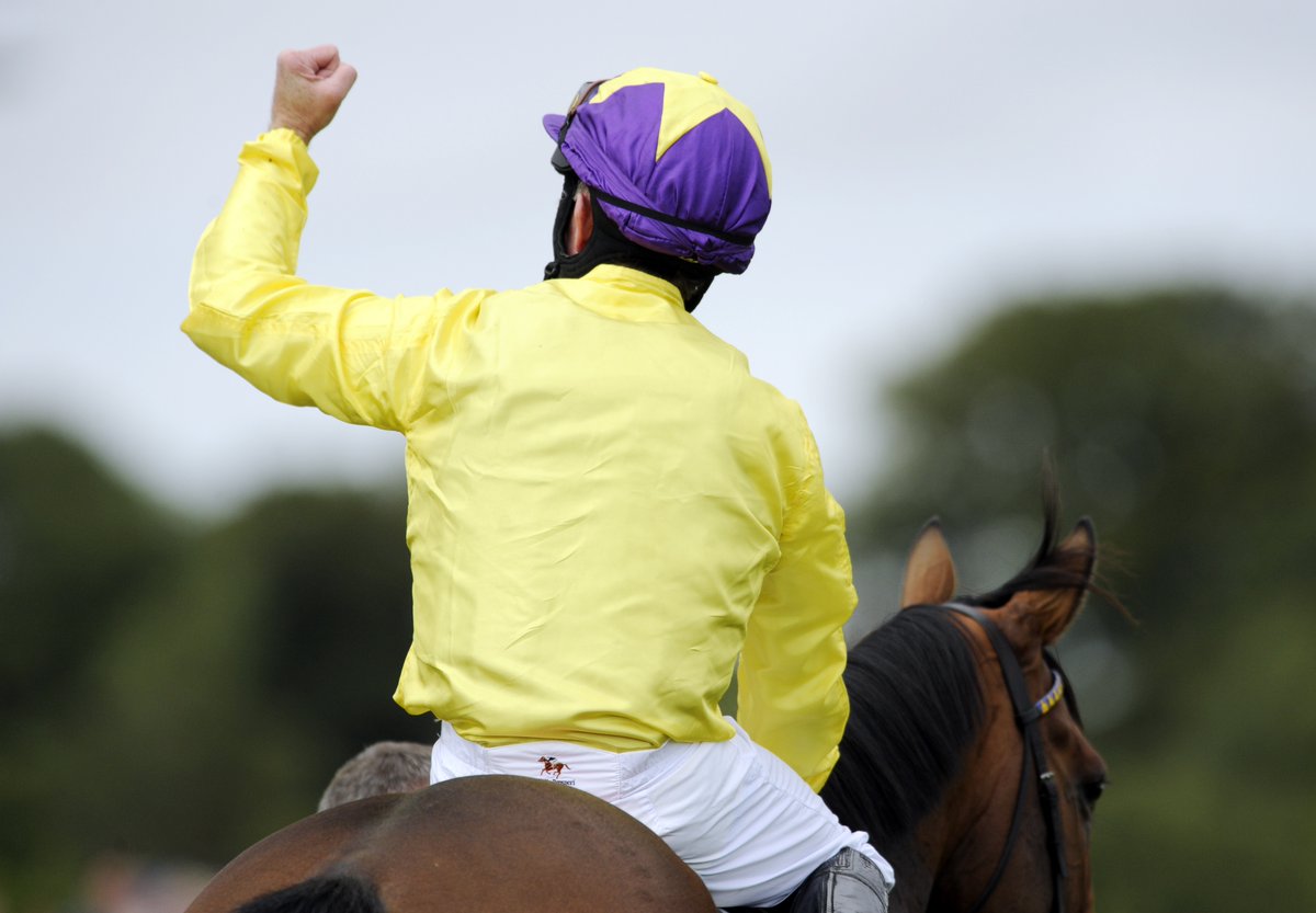 Horse Racing Ireland tweet media