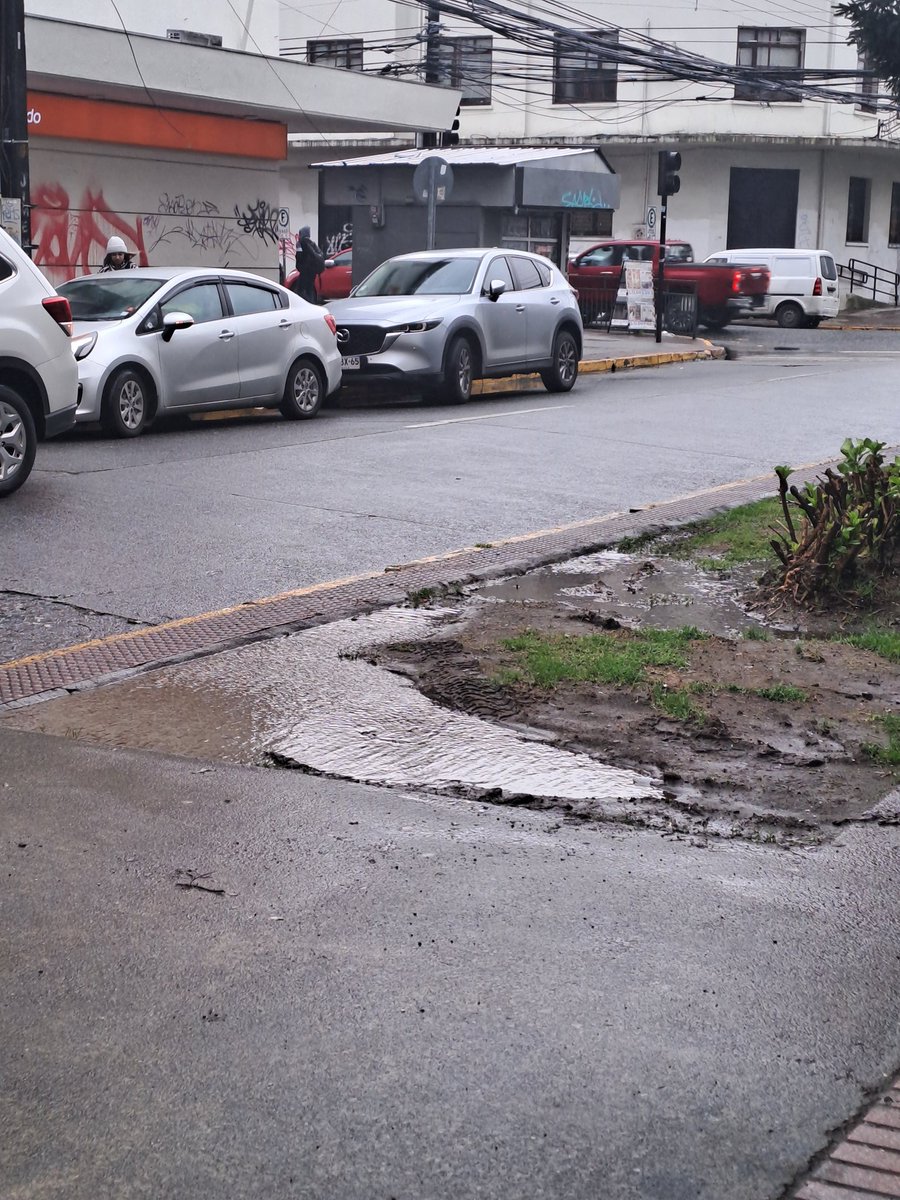 monicabrownch's tweet photo. Calle Rancagua, pleno centro de Puerto Montt. @GervoyAlcalde @munipuertomontt @biobio @TuReloncavi https://t.co/JYxdNh33jp