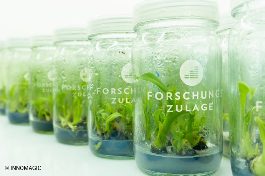 #Forschungszulage:
Wer hat Anspruch?
Wie erfolgt die Beantragung?
Wie viel Förderung kann ein Unternehmen erhalten?
Wir haben die Antworten 😇  forschungszulage.de

#forschungszulage #innomagic 
<a href="/innomagic/">INNOMAGIC</a>