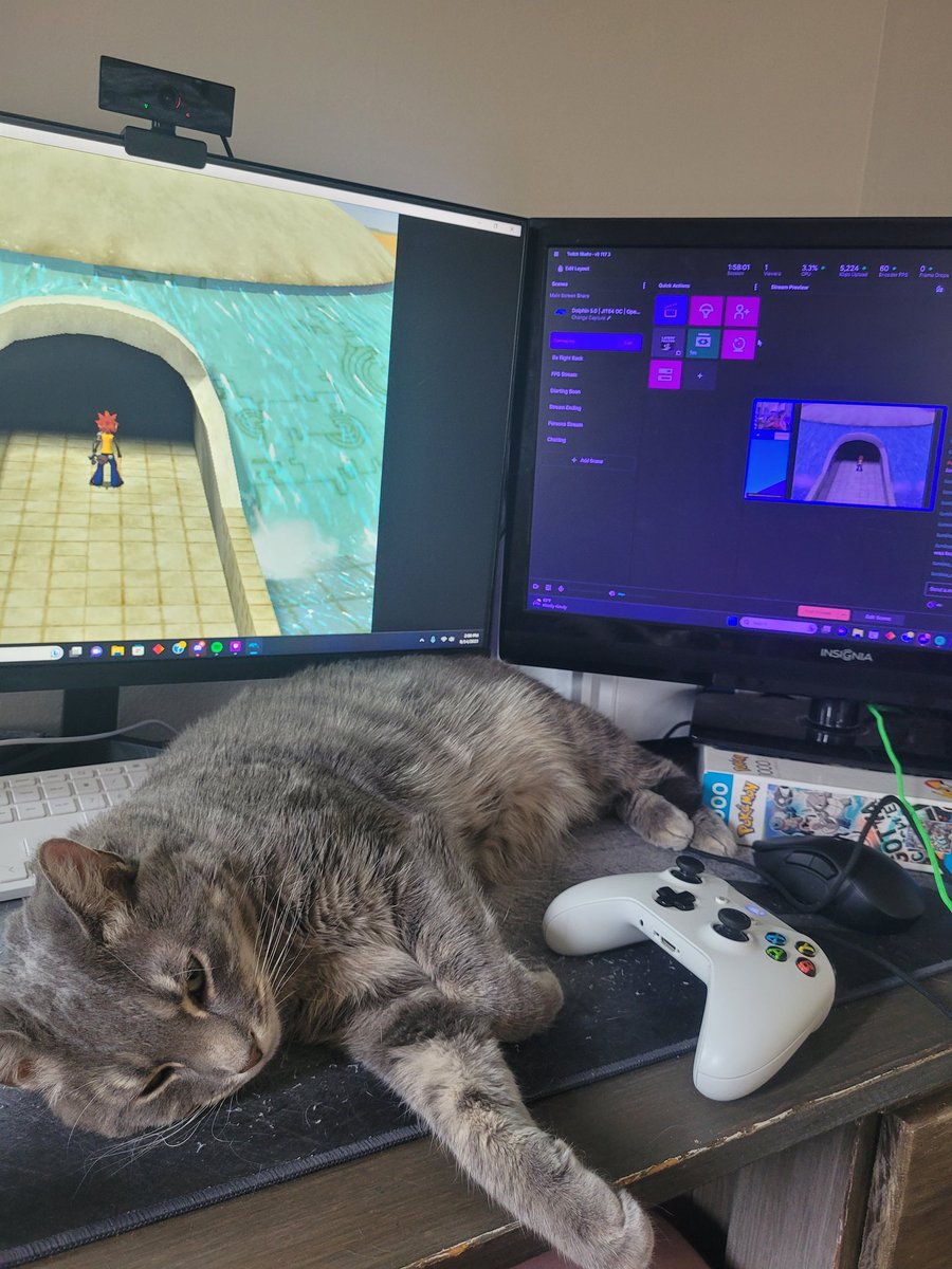 My cat's so supportive of my passions #CatsOfTwitter #catgamer #streamer #twitch #livenow #twitchaffiliate #catowner
