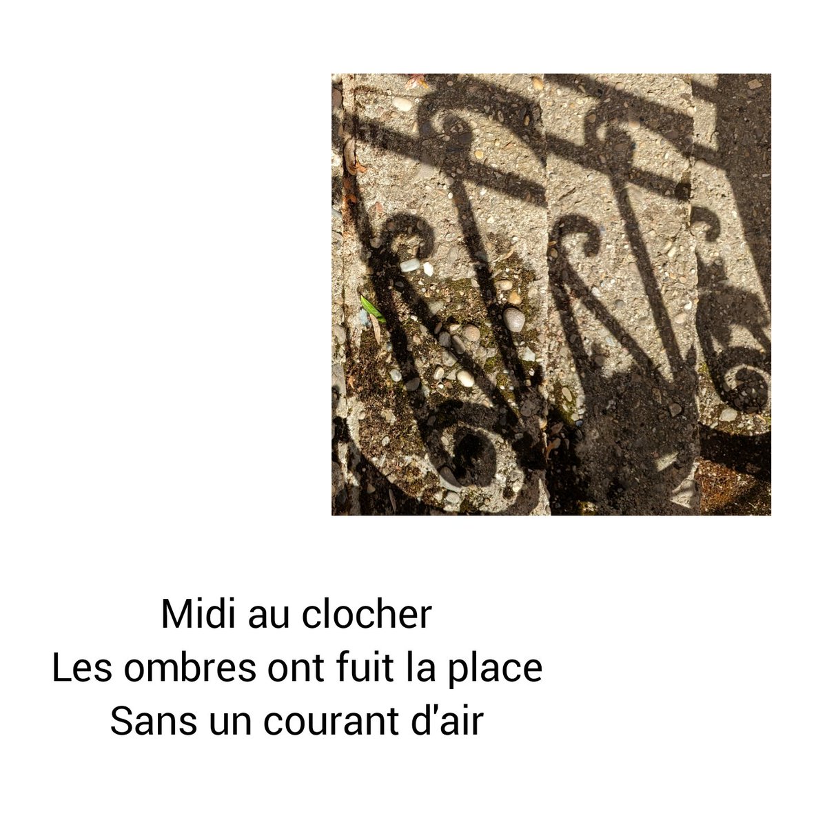 Même les #ombres fuient...

Bonne soirée

#haïku #poesie