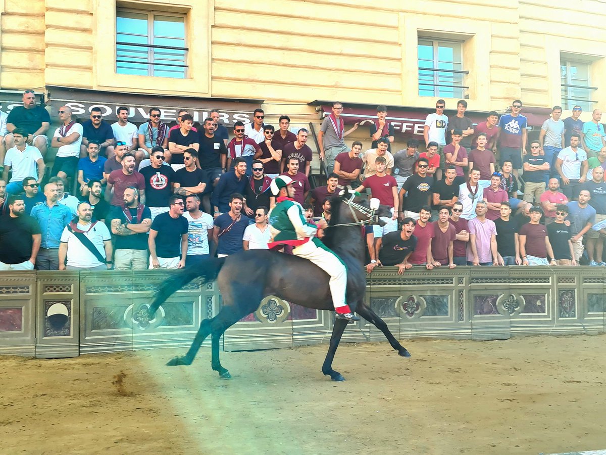 daveroll1's tweet photo. Pic from the 2nd trial at 9am before Wednesday's Palio in Siena. The supporters of the Tower contrada put pressure on the Oca jockey #siena #Italy #palio #PalioSiena https://t.co/0fCmaJEGWo