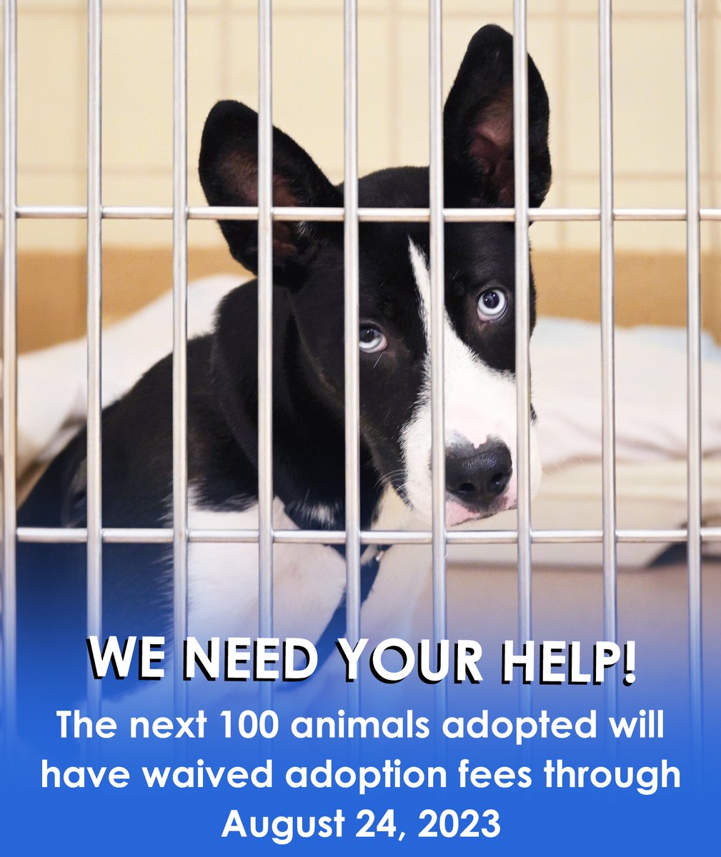MCASAC is currently facing a critical capacity situation. In an effort to address this pressing issue, we will be waiving adoption fees for the next 100 animals adopted through August 24th.