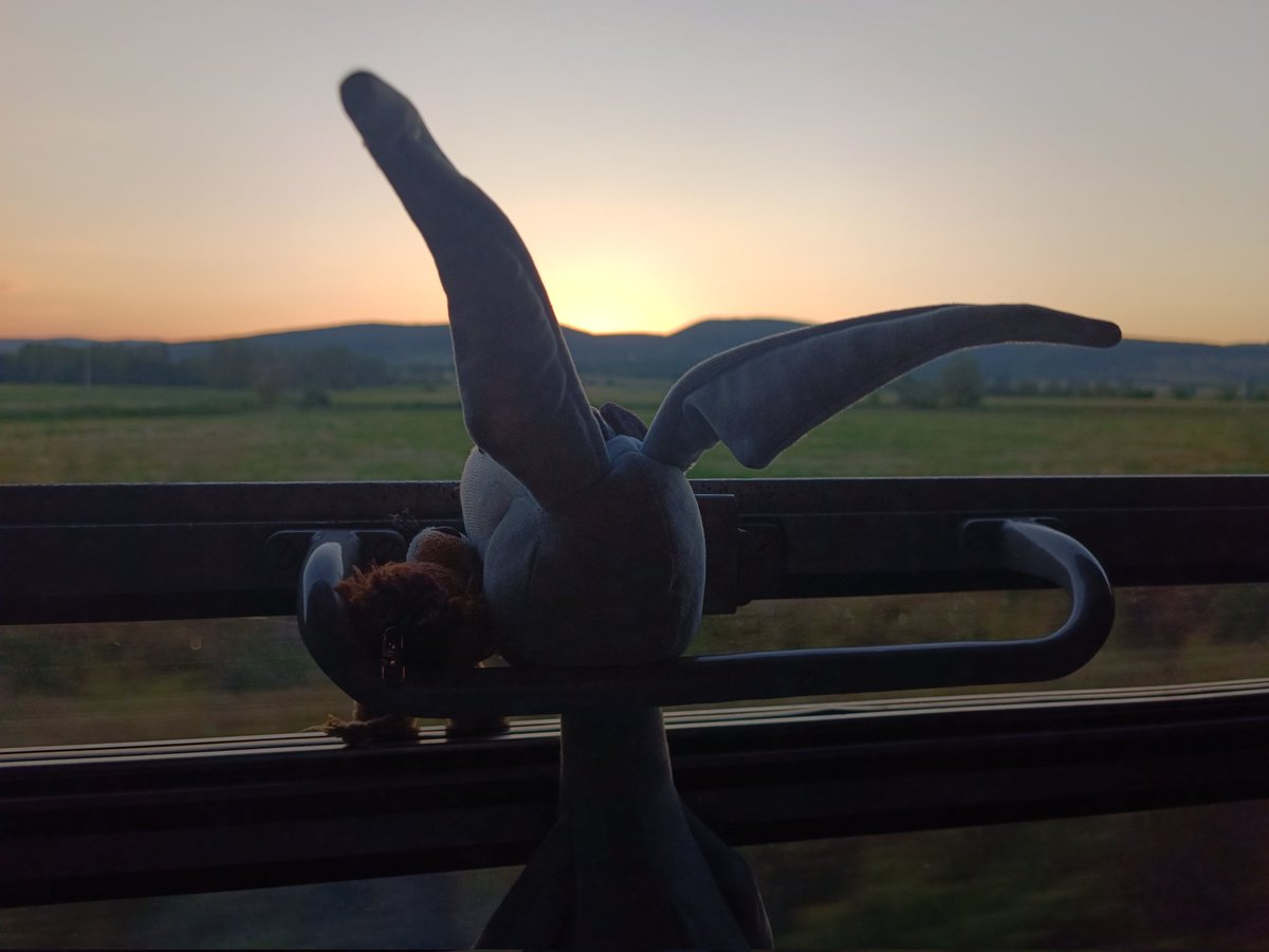 haseinblau's tweet photo. Jetzt dürfen wir wieder eine Runde Nachtzug fahren 😍 https://t.co/RUUmz7w6pq
