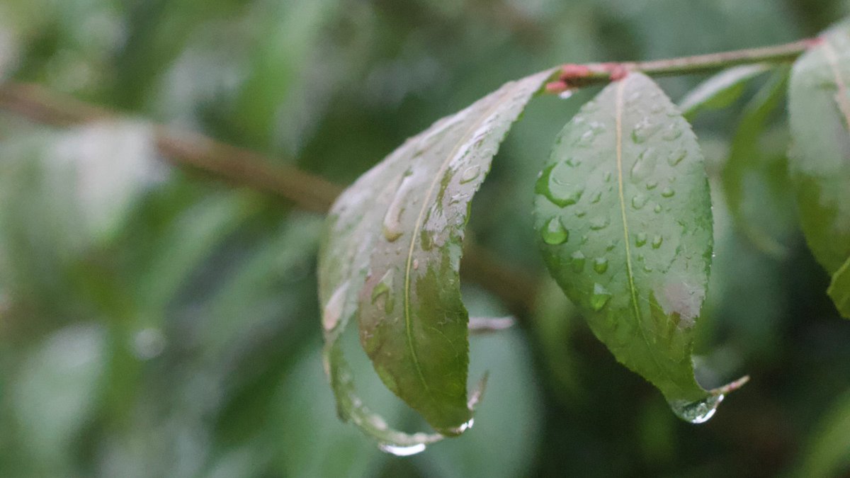UWStoutMSC's tweet photo. The perfect rainy weather to grab a book from the library and settle down in the MSC to read! 🌧️☔ https://t.co/H6nWAEVvgE