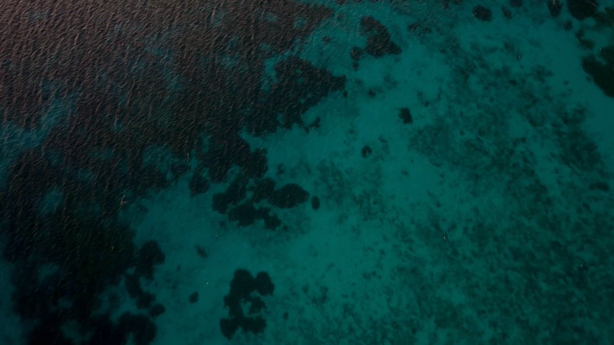 dronestock's tweet photo. Explore the serene beauty of the ocean's endless blue waves with our free drone stock video. Ideal for travel videos, meditation visuals, or artistic projects. #drones #stockvideo #oceanexploration View &amp; download here: https://t.co/kLvxizKZ6g https://t.co/0MrtzPoS2X
