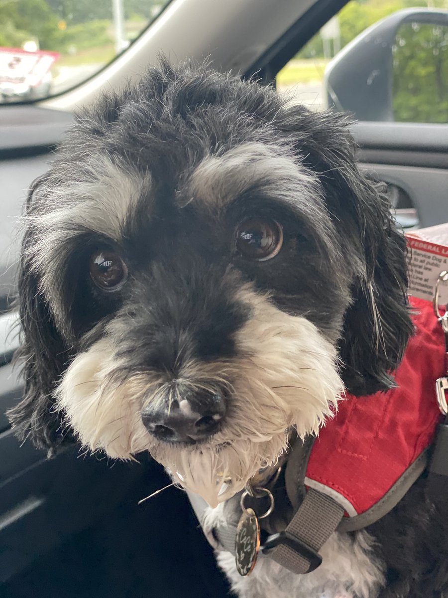 Papa gave me yummy treat! HuNana not happy! Doggylicious!