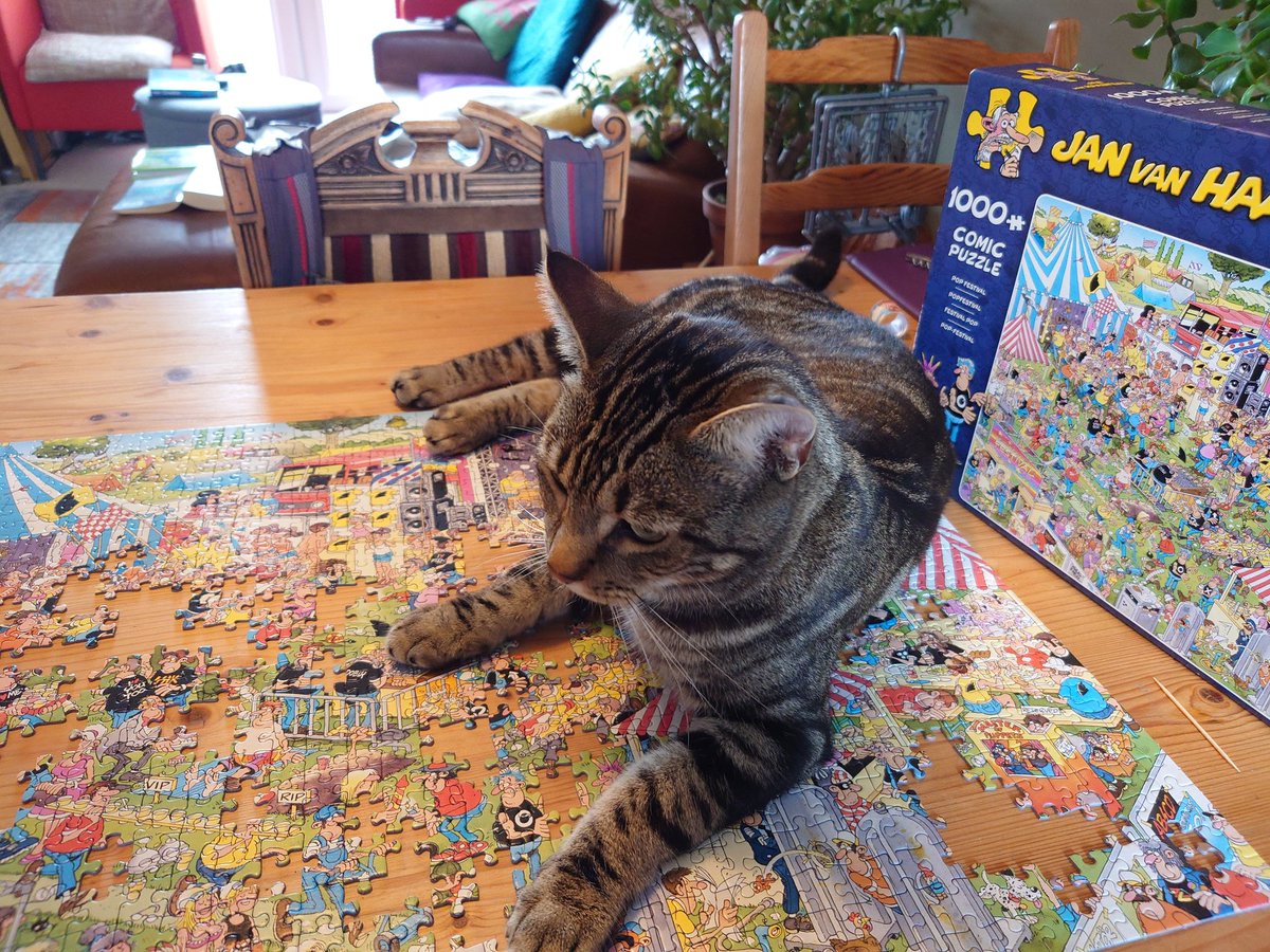 Not helpful. Not helpful at all... #damncat #jigsaw