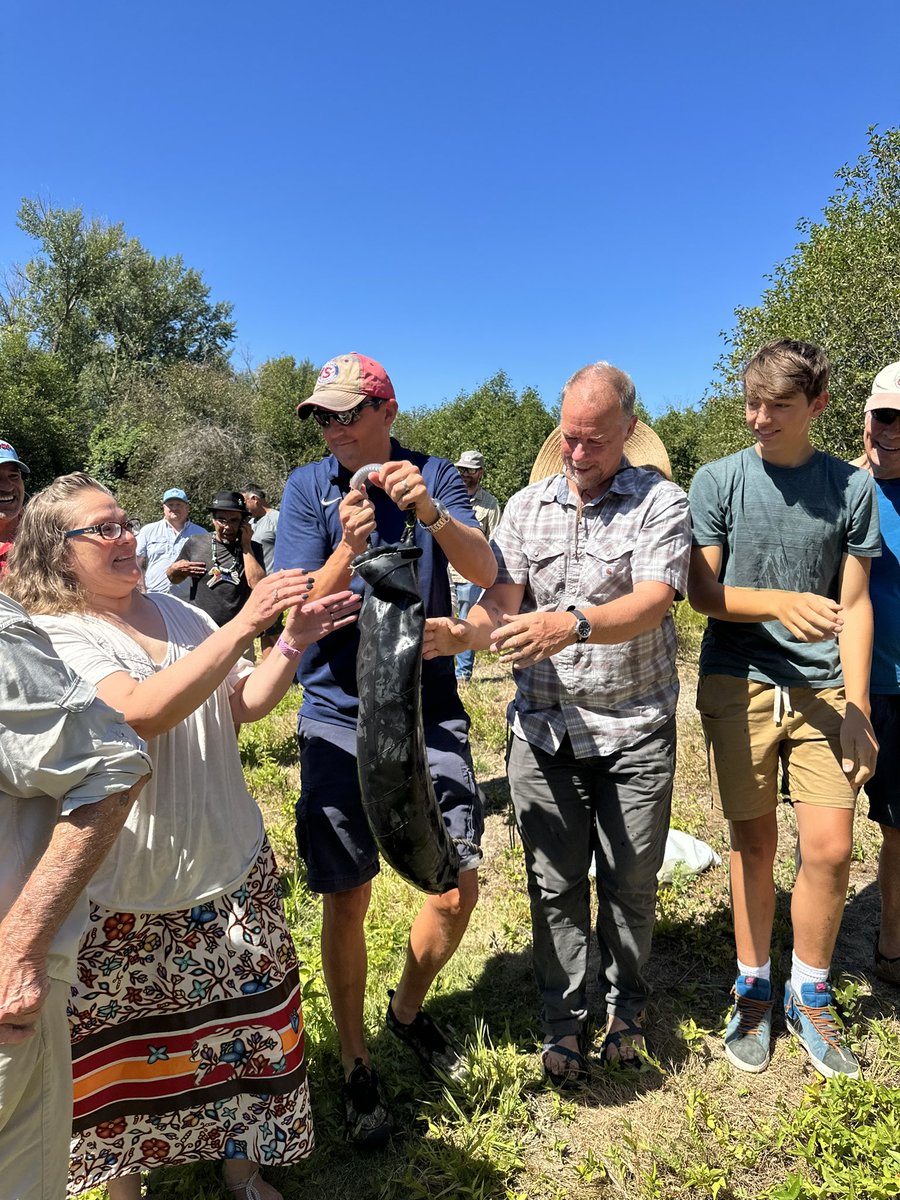 Friends of Marcus Riccelli tweet media