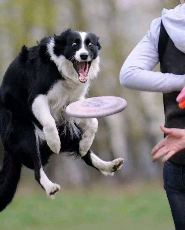 Perfect Short❤️❤️