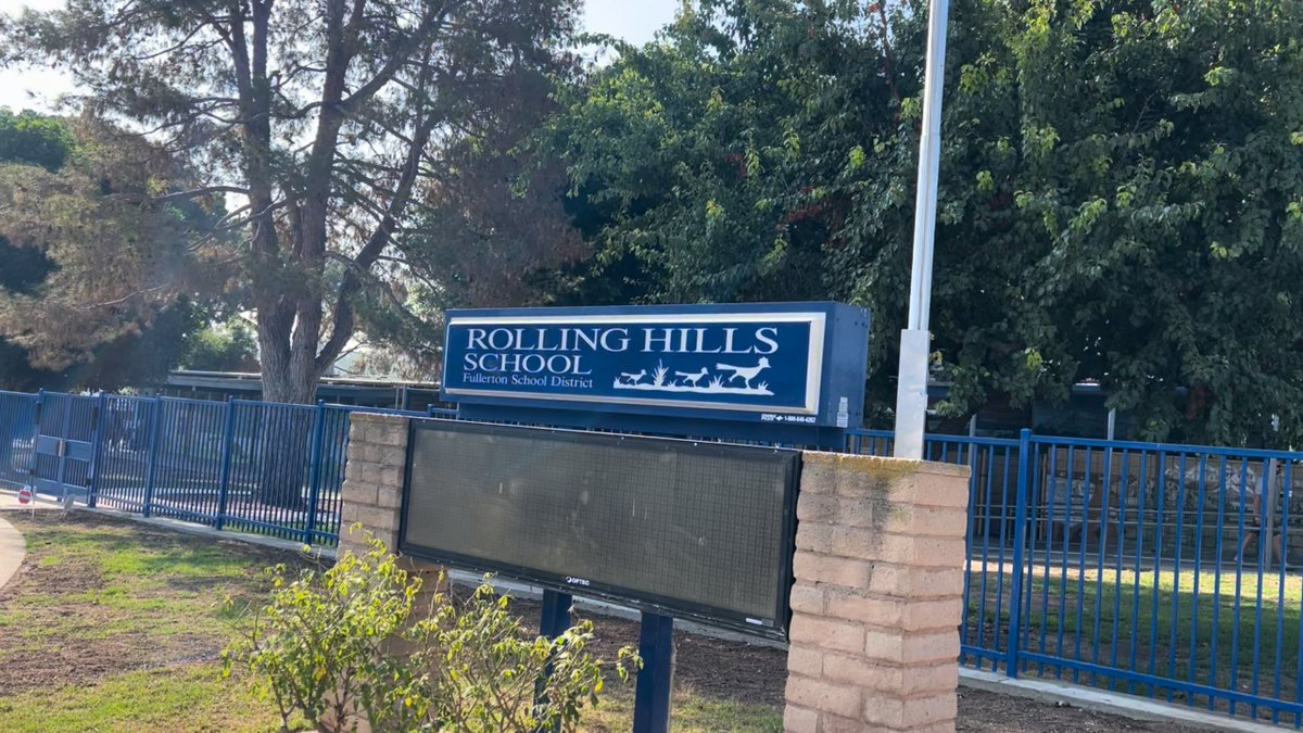 Brandon Choi tweet media