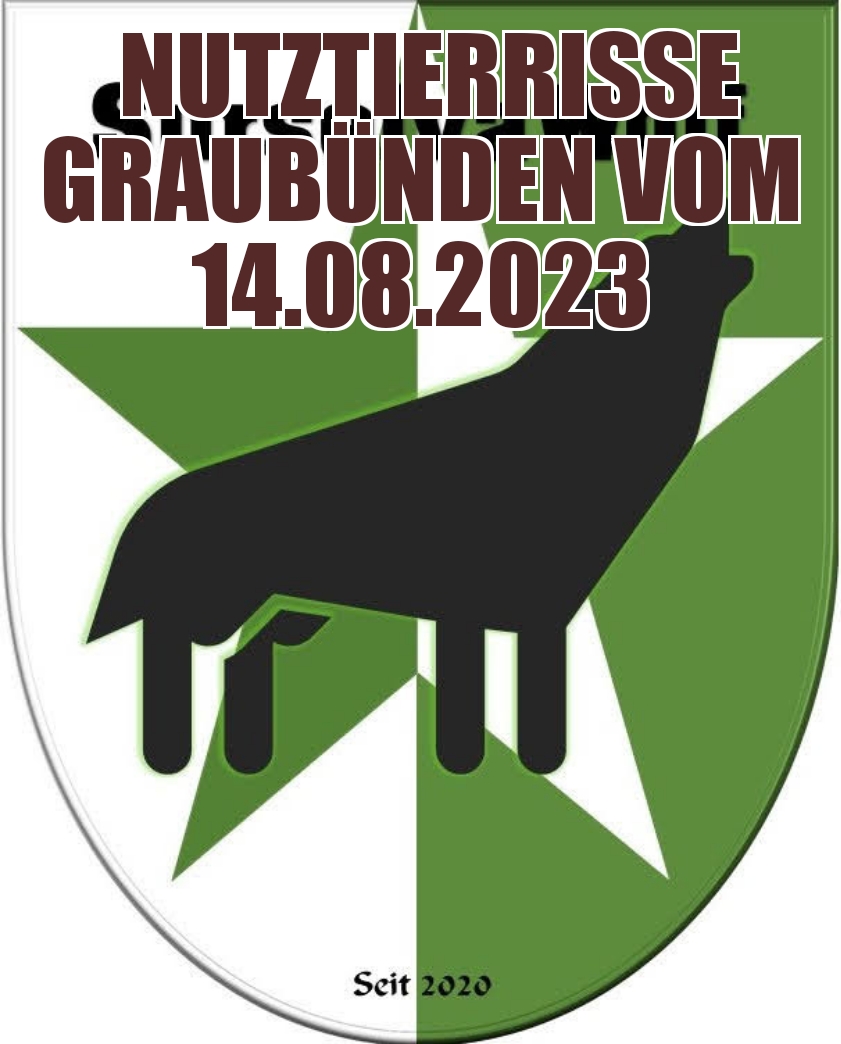 14.08.2023 Nutztierrisse Graubünden: 
Bregaglia, Val da la Duana
3 Schafe durch Wolfsangriff getötet

Poschiavo, Plan da Val Mera
1 Schaf durch Wolfsangriff getötet 

Poschiavo, Val Scüri
1 Schaf durch Wolfsangriff getötet