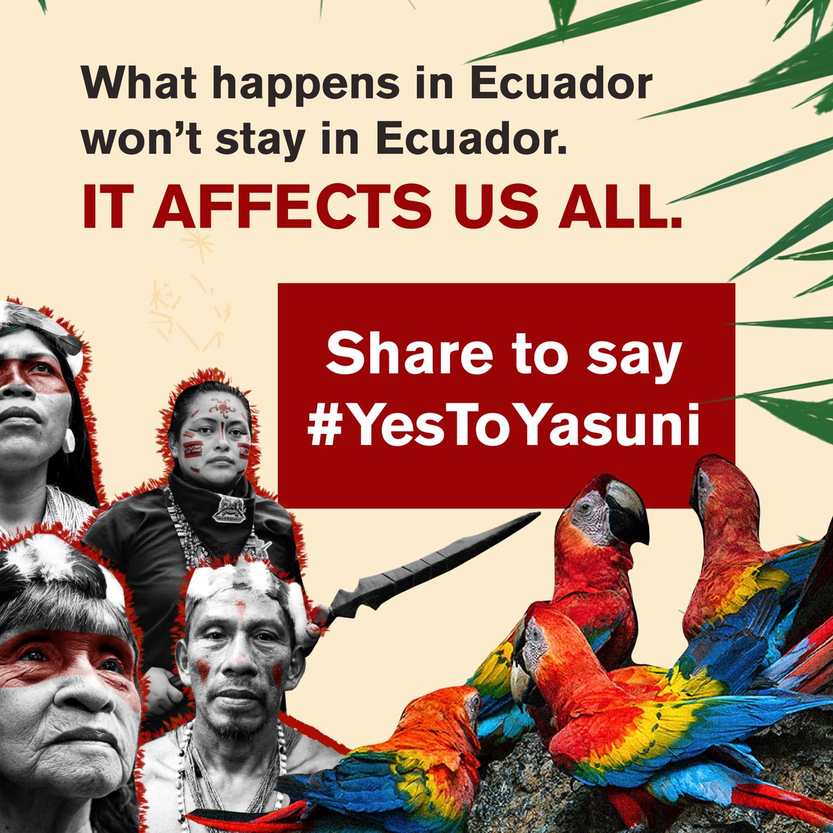 AFrontlines's tweet photo. What would you say if citizens had the power, for the 1st time in history, to vote out the oil industry from earth’s most biodiverse place? Well, that’s exactly what’s happening in #Ecuador

🌿Share to say #SíAlYasuní #YesToYasuní! 

Read more in our blog:https://t.co/cqbyDFfCC7 https://t.co/OWwR6b6RUK