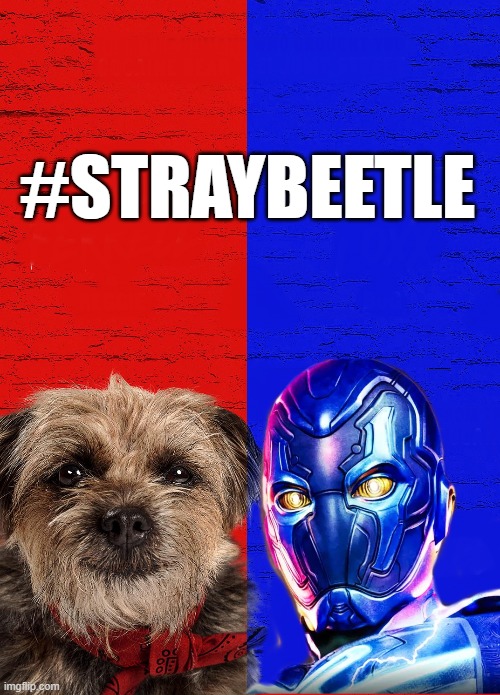 TheLeondude's tweet photo. Dunno what I was thinking when I made this but it exists now. #StrayBeetle is the new #Barbenheimer.  😄 #StraysMovie #Memes #BlueBeetleMovie https://t.co/x1CtqUW8ZO