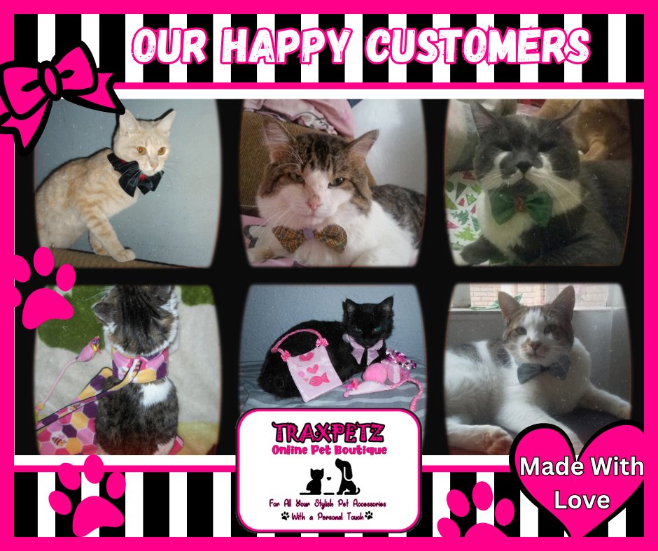 PetzTrax's tweet photo. Check out some of our happy customers kitted out in their Trax gear!
We have a wide range Pet accessories, blankets, jackets and beds! grooming kits, puppy and kitten starter sets, All our sets are 10% OFF!
Dogs life &amp; Dogs days jackets @ up to 50% OFF!
#ilovemypet #petshop https://t.co/cmf479WsNA