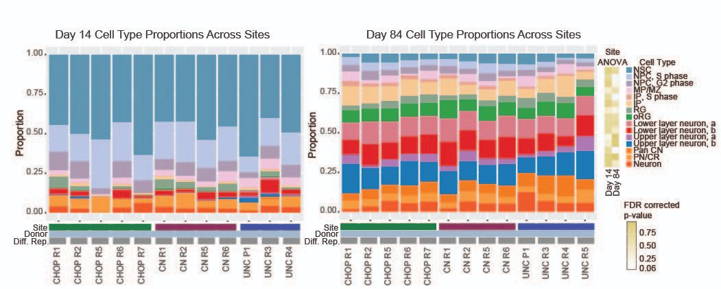 Rose Glass (@magnesiumlass) on Twitter photo Excited to share a new preprint on the cross-site reproducibility of human cortical organoids co-led with Elisa Waxman & Deborah French at CHOP and Satoshi Yamashita & Kazue Hashimoto-Torii at Children's National and my PI <a href="/jsteinlab/">Jason Stein</a>! biorxiv.org/content/10.110… 1/9 Excited to share a new preprint on the cross-site reproducibility of human cortical organoids co-led with Elisa Waxman & Deborah French at CHOP and Satoshi Yamashita & Kazue Hashimoto-Torii at Children's National and my PI <a href="/jsteinlab/">Jason Stein</a>! biorxiv.org/content/10.110… 1/9