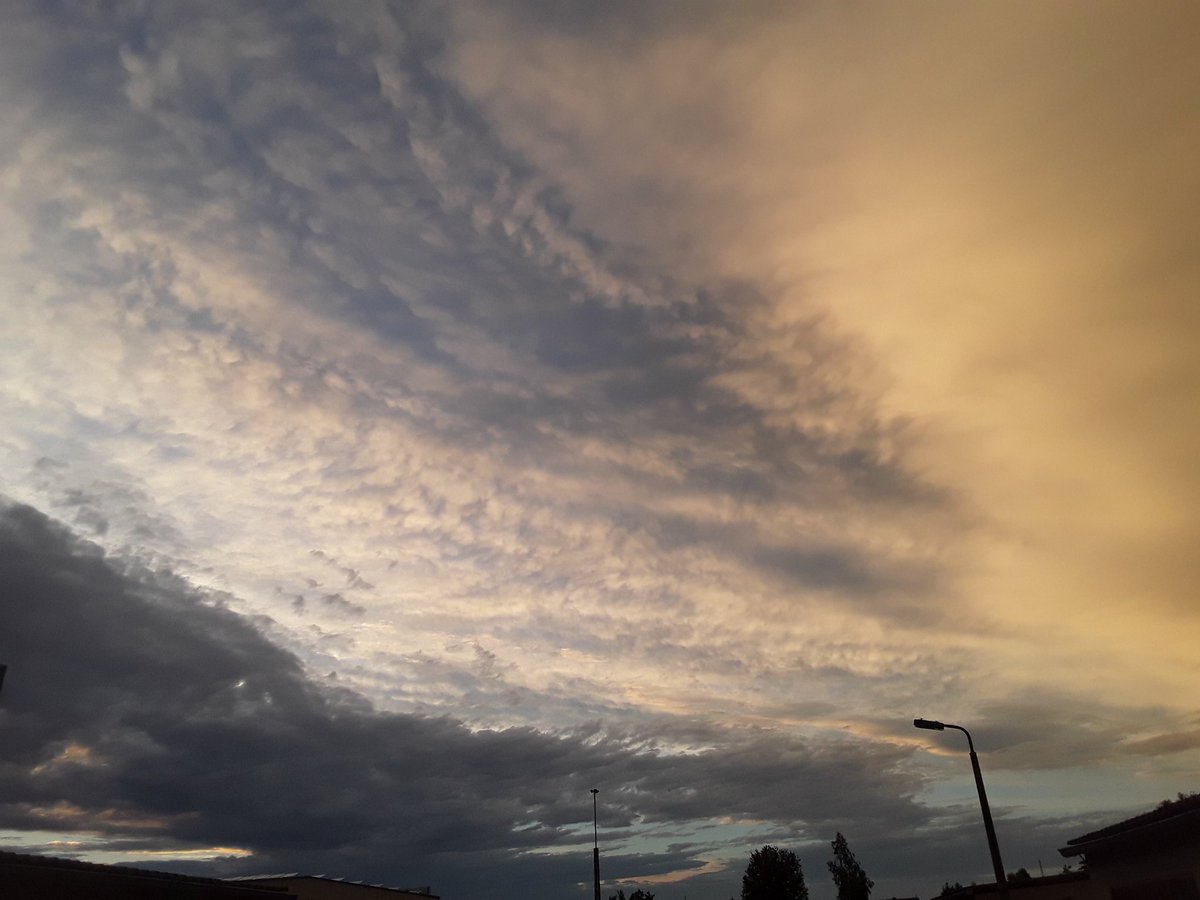 Nach dem Gewitterregen 

in #Fürstenwalde