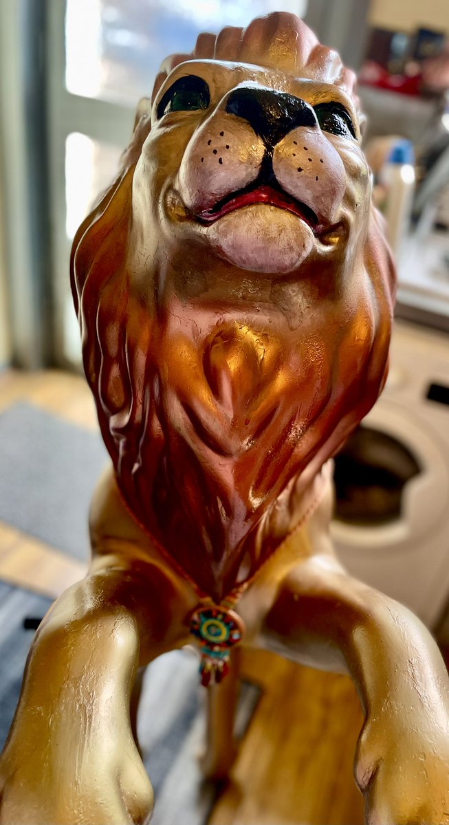 mary_mcguigan's tweet photo. #Lionupdate 🦁 I’ve been debating how to give the boy that extra je ne sais quoi he deserves. There have been lots of options considered.
Today we may just have nailed it. https://t.co/f3cHH9UErS