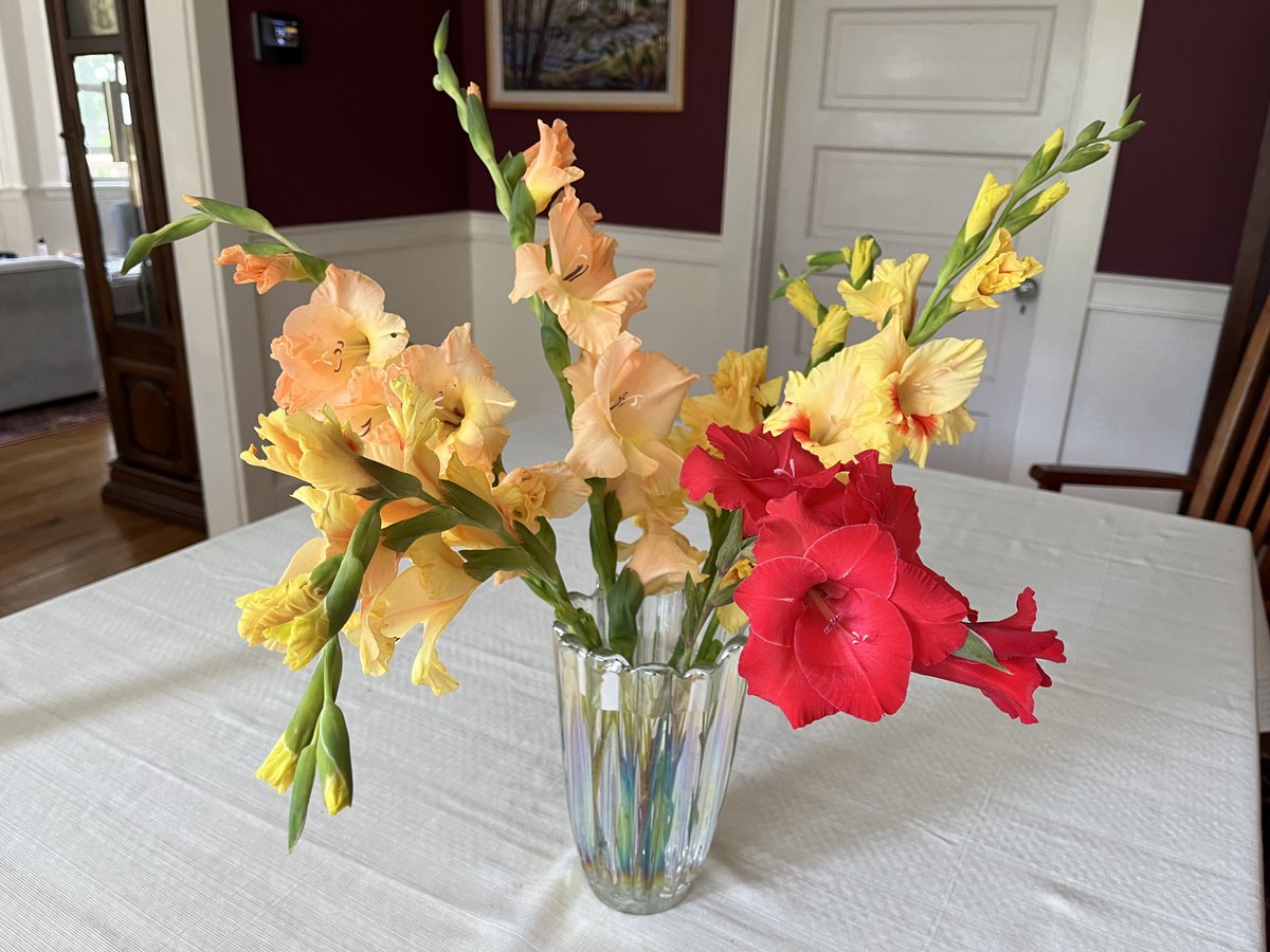 The gladioluses got pummeled by the rain so we brought them in and now I can’ t stop staring at them.