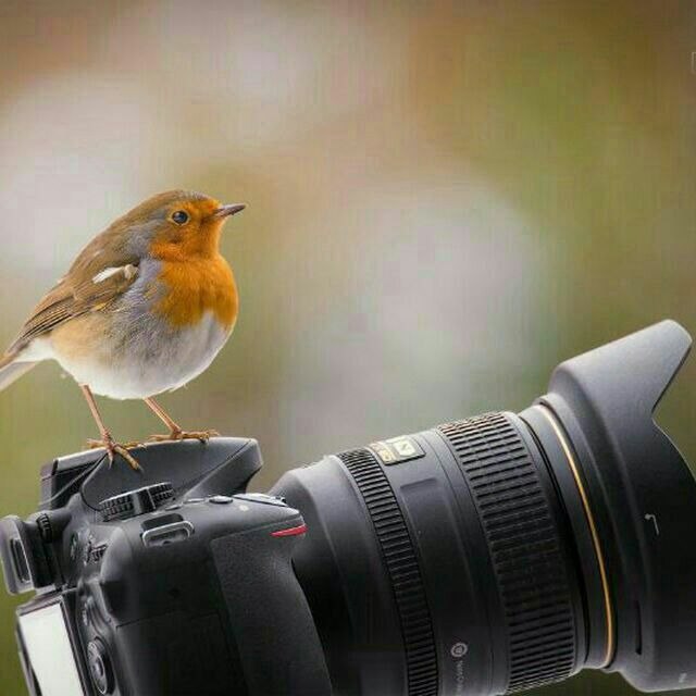 الطريقة الوحيدة لتجنب التعاسة هي ألا يكون لديك وقت فراغ تسأل فيه نفسك فيما إذا كنت سعيداً أو لا👌