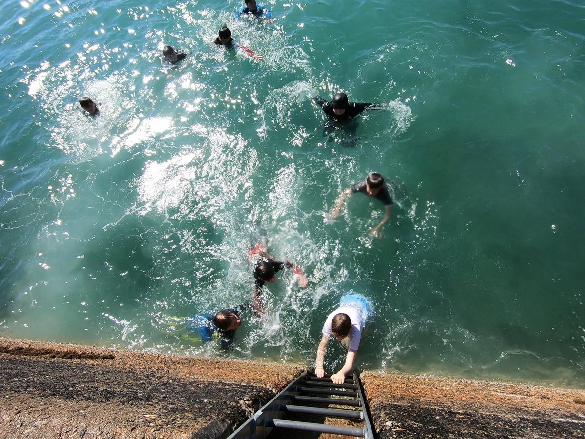 We’ve sort of fallen into pier jumping…. 

#watersafety #backtoschool #safetyfirst