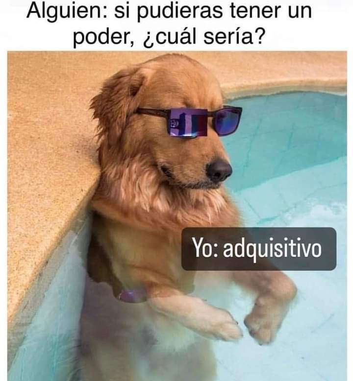 nacional_memes's tweet photo. Sisoy https://t.co/PxjhkLKI4f