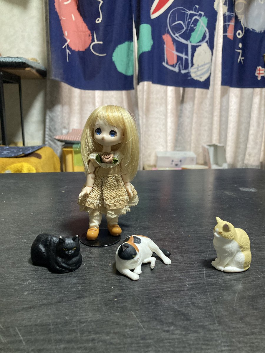 kuronekoCirno's tweet image. 道具を撤去🥱

諸行無常

今回は、SP-12祭りだた
mirageもちょっと使ったた

😺が拗ねてしまったので
ご飯は多めにサービスしておこう😸

おぬし
しっかし
出演してるなっ

#8bit
#12bit
#ensoniq
#ensoniqmirage
#sp12
#s1000
#akaiprofessional
#sampler

#ニャンコ
#ソマリ
#somalicat

#あまむす