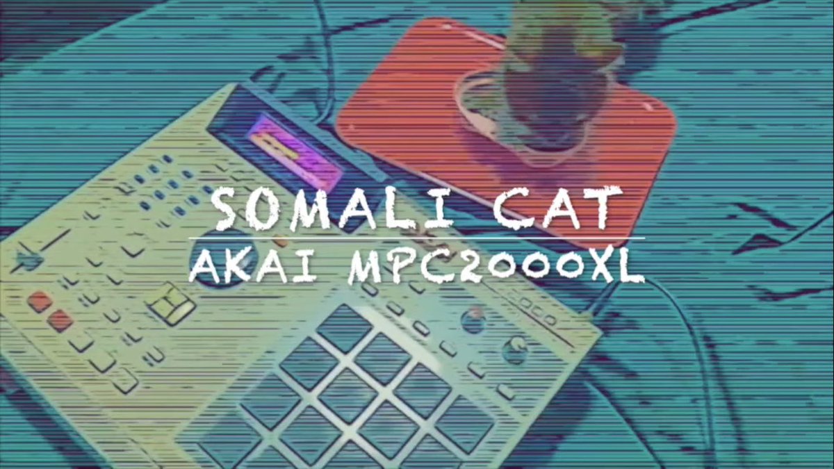 kuronekoCirno's tweet image. 道具を撤去🥱

諸行無常

今回は、SP-12祭りだた
mirageもちょっと使ったた

😺が拗ねてしまったので
ご飯は多めにサービスしておこう😸

おぬし
しっかし
出演してるなっ

#8bit
#12bit
#ensoniq
#ensoniqmirage
#sp12
#s1000
#akaiprofessional
#sampler

#ニャンコ
#ソマリ
#somalicat

#あまむす