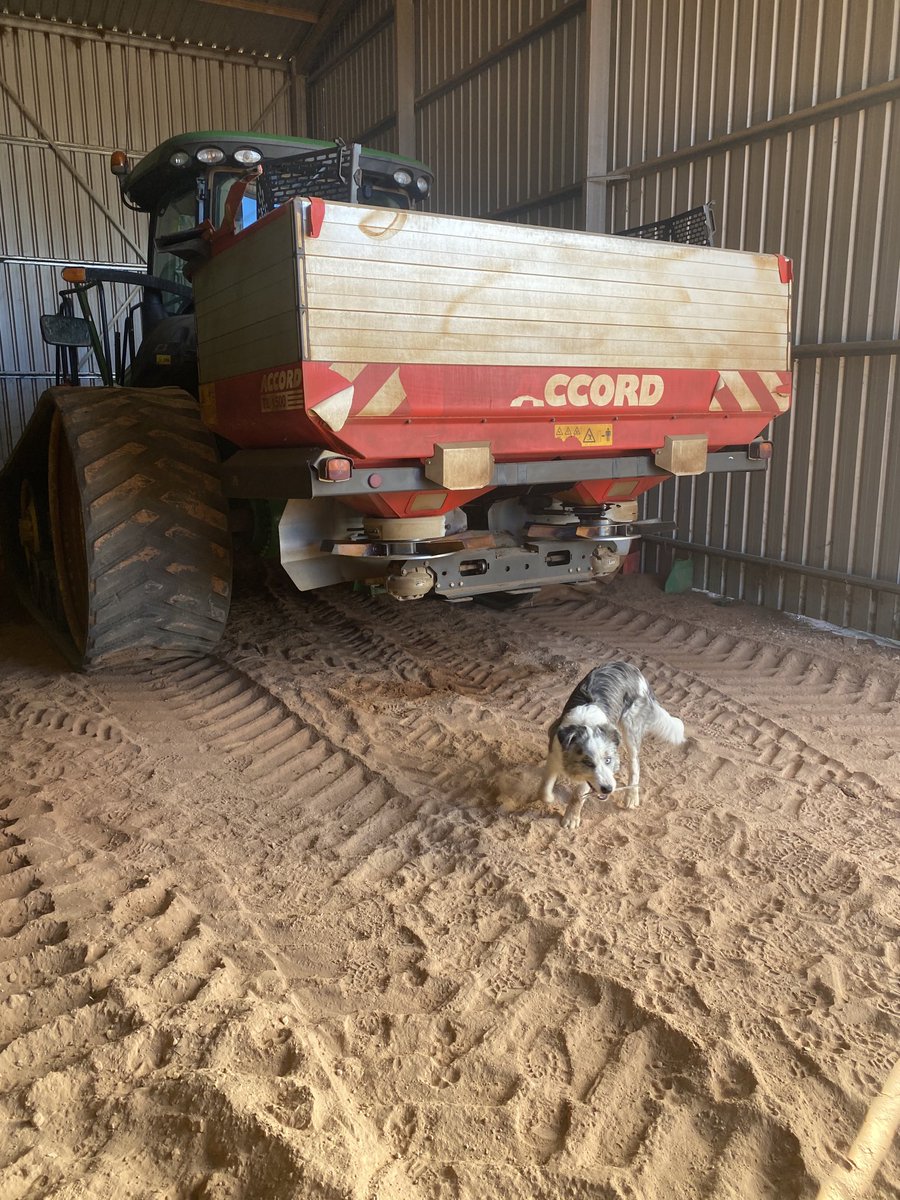 Robin Schaefer tweet media