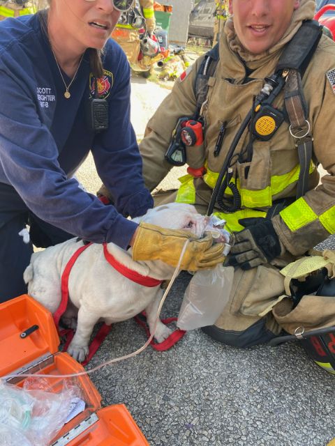 Your SAFD at a structure fire today on Sunrise Creek, no occupants inside but we did find this brave one!