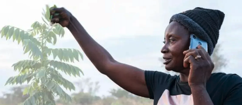 Développer la science et l’innovation agricoles pour un avenir climato-résilient en Afrique xibaar.net/developper-la-…