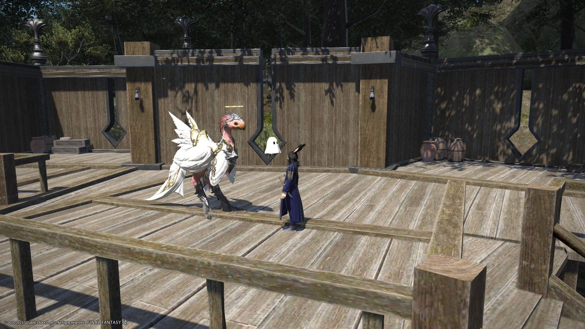 flowerchieftain tweet picture