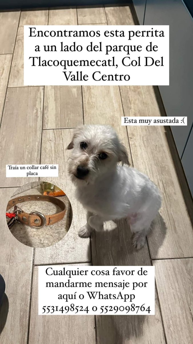 Favor de compartir, hagamos que llegue a casa ❤️.