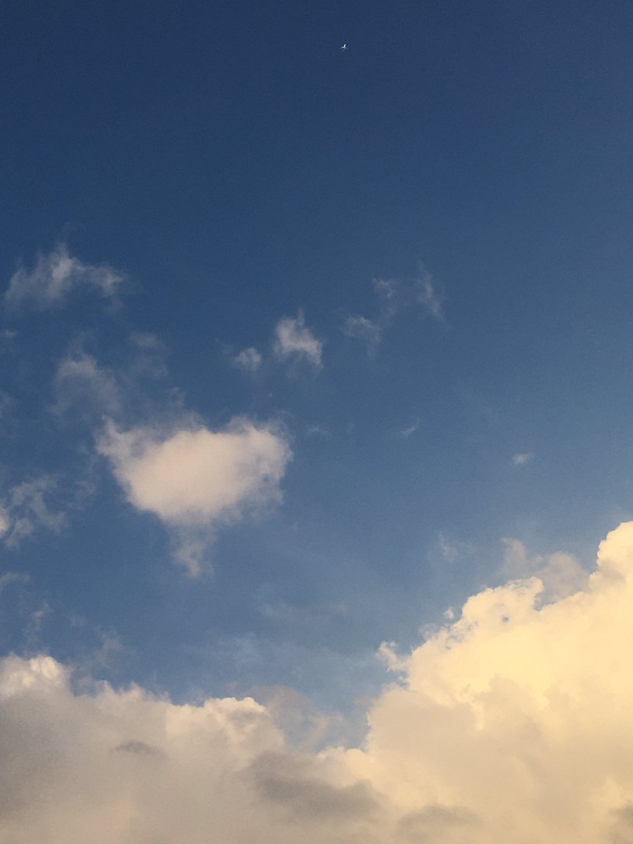 BlackDoCoffee's tweet photo. Blue Sky https://t.co/9k5mQmuRX3