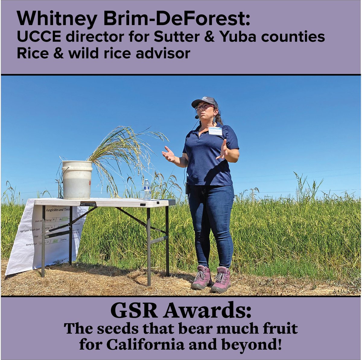 UCDavisPlants's tweet photo. Graduate Student Research awards are granted thru the #UCDavis Dept of Plant Sciences, w/funds from the McDonald Endowment (administered by @ucanr). More about Whitney: https://t.co/OeEihwPQZu
#1intheWorldPlantSciences #AmazingGradStudents @ucdavisCAES @ucdavis @UCDavisCAESDean https://t.co/ZAQDuXcHuN