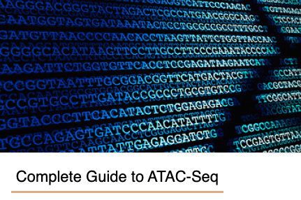activemotif's tweet photo. [GUIDE] The ATAC-Seq method is one of the most powerful ways to study chromatin states on a genome-wide level. 
📚Learn about ATAC-Seq &amp; if it suite your research. 
➡️ https://t.co/my0uueXTwa

#ATACSeq #CUTnTag #CUTnRUN #Epigenetics https://t.co/W0NitnkDN4
