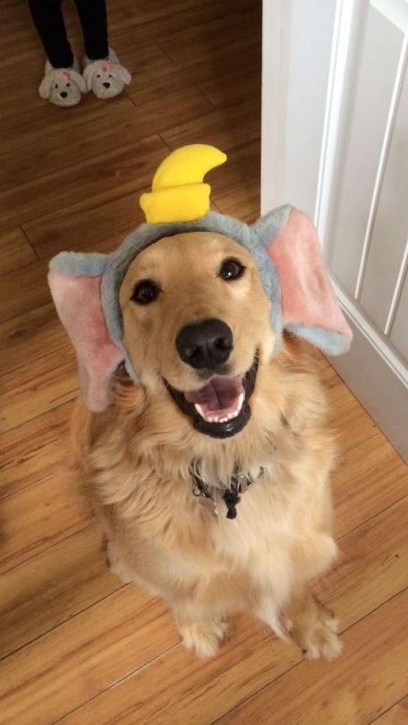 twaniimals's tweet photo. https://t.co/Kox81XThQA