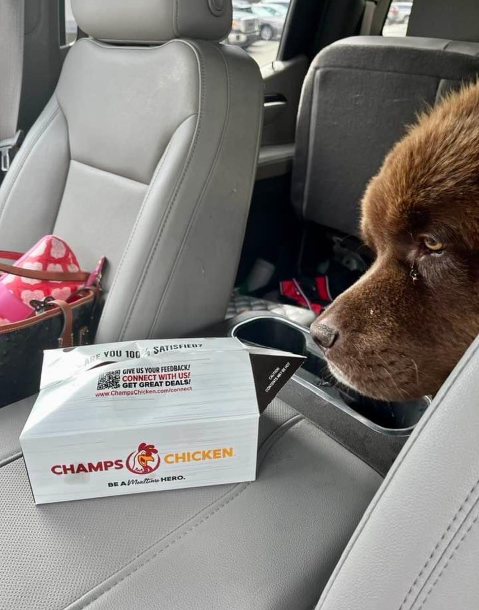 Champs Chicken tweet media