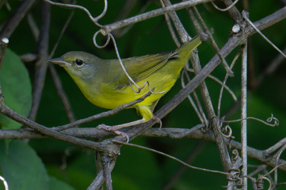 Patrick bx tweet media