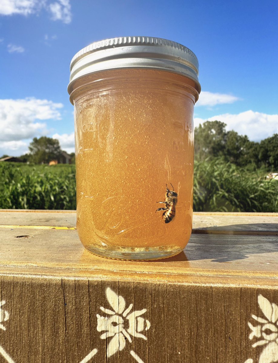 Honey harvest time! This pic was taken at the lovely Drumm Farm, a working farm and foster community where kids in the system can spend some great years. We'll be doing more harvest events and workshops, keep an eye on the insta @ beekcmo. 💛🖤🍯🐝🐝🐝🐝