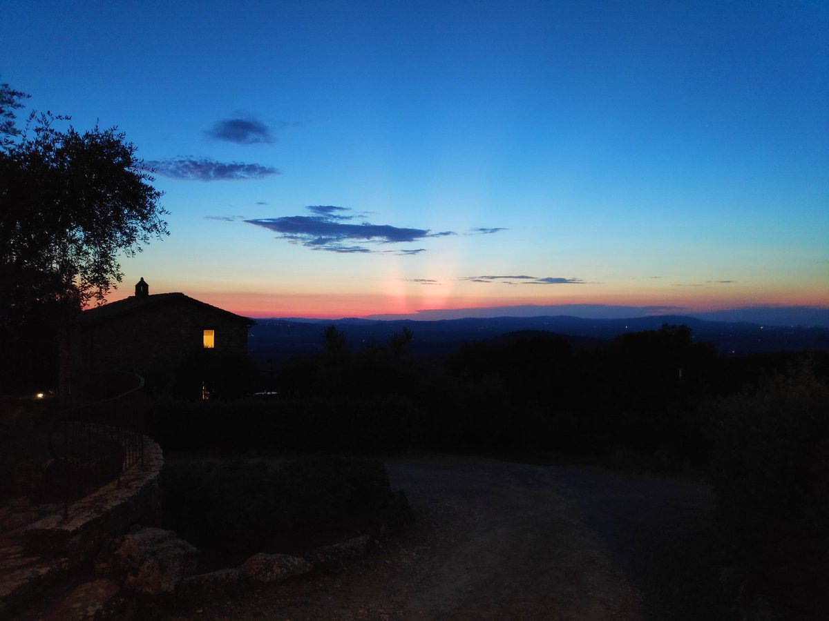 Johan Aradan tweet media