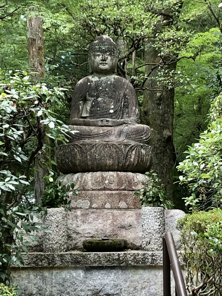 Golf_Troll_IT's tweet photo. #schoenesgegendoofes
#backineurope 
#Buddha https://t.co/KTdZl08Pc8