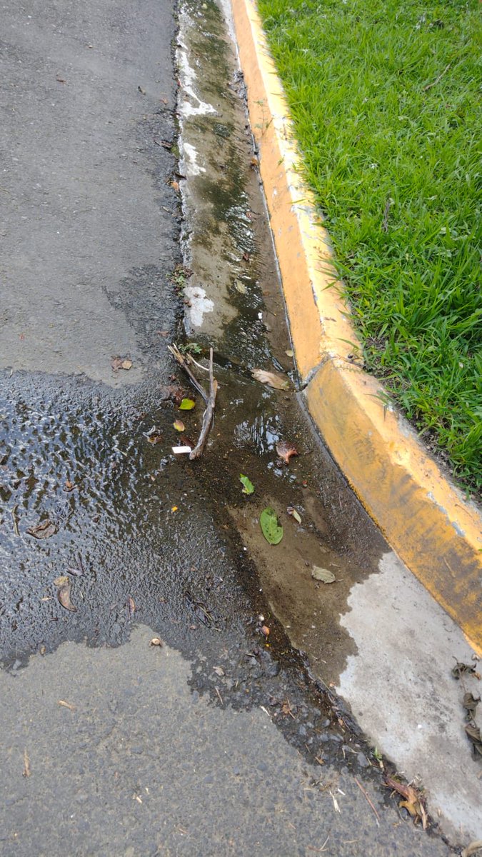 ⁦<a href="/ANDASV/">ANDA</a>⁩ buenos días por favor nos podrían ayudar con esta fuga de agua potable, en la Urbanización Altos de la Cima en la calle #2, peligro de cárcava y pérdida importante de agua potable